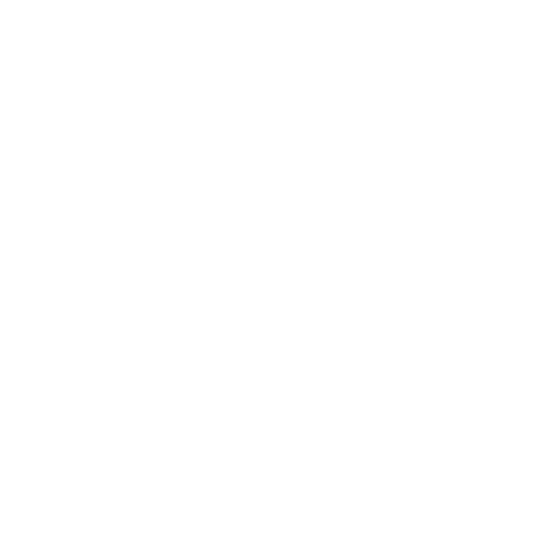 Noah's